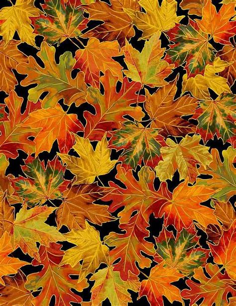 timeless treasures bountiful leaves metallic rust fabric|Timeless Treasures Fall Bountiful Leaves Metallic Fabric by The .